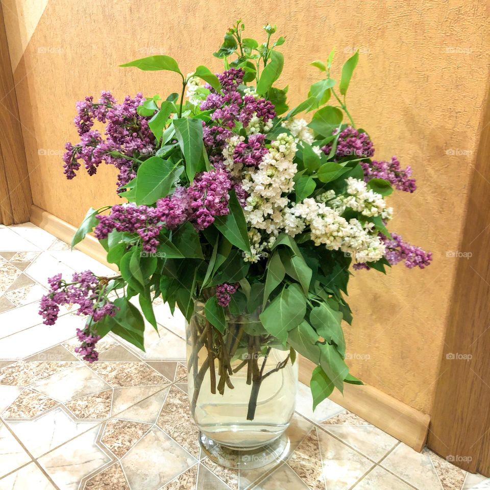 Lilac from my grandma 