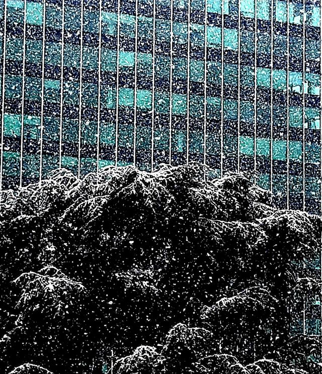 Snow at San Donato Milanese (Milano)