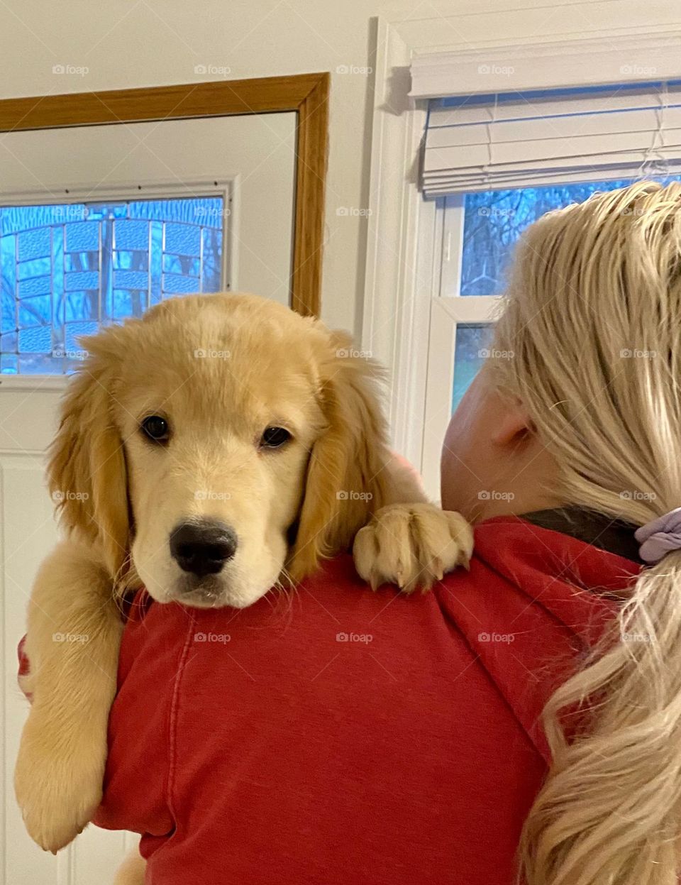 Puppy looking over his owner’s shoulder