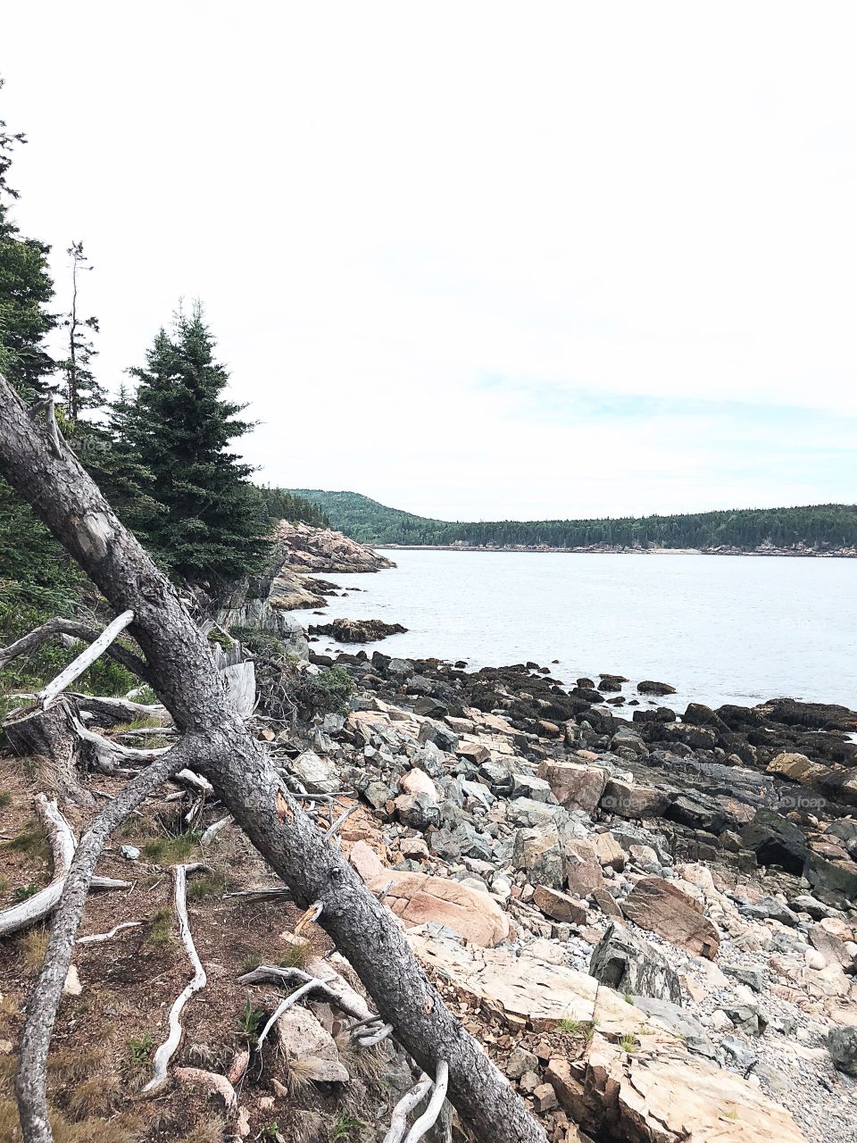 Acadia National Park