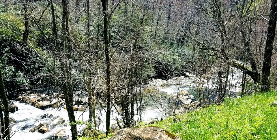 Rushing white creek scenic views of vibrant green woods of the Great Smoky Mountain national park / forest over Tennessee.