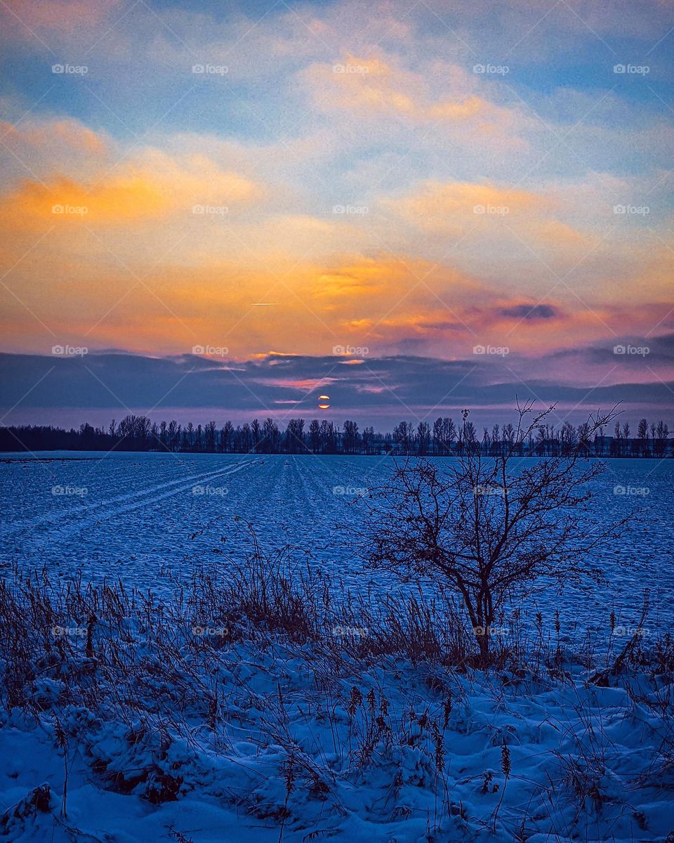winter evening