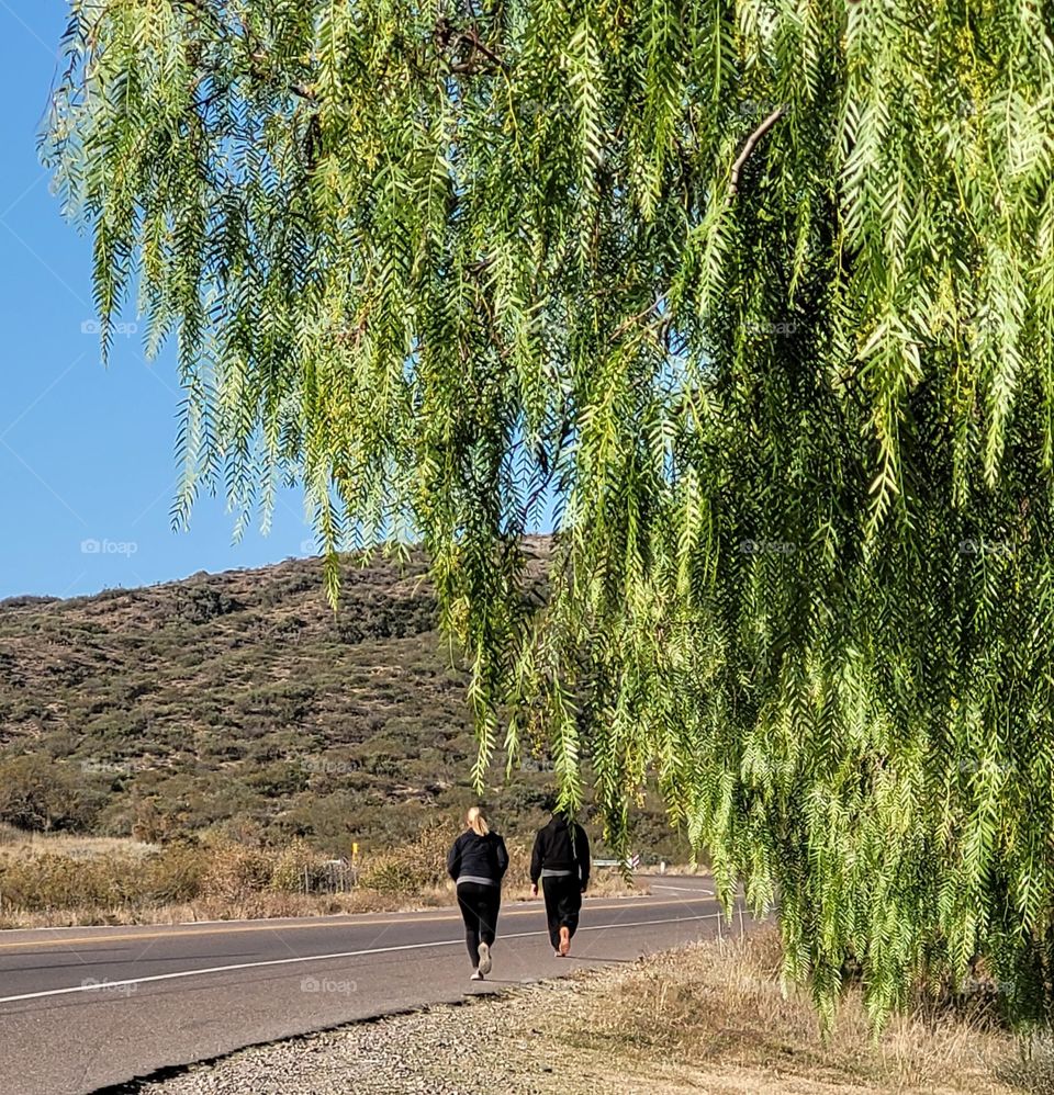 correr cerca de las montañas