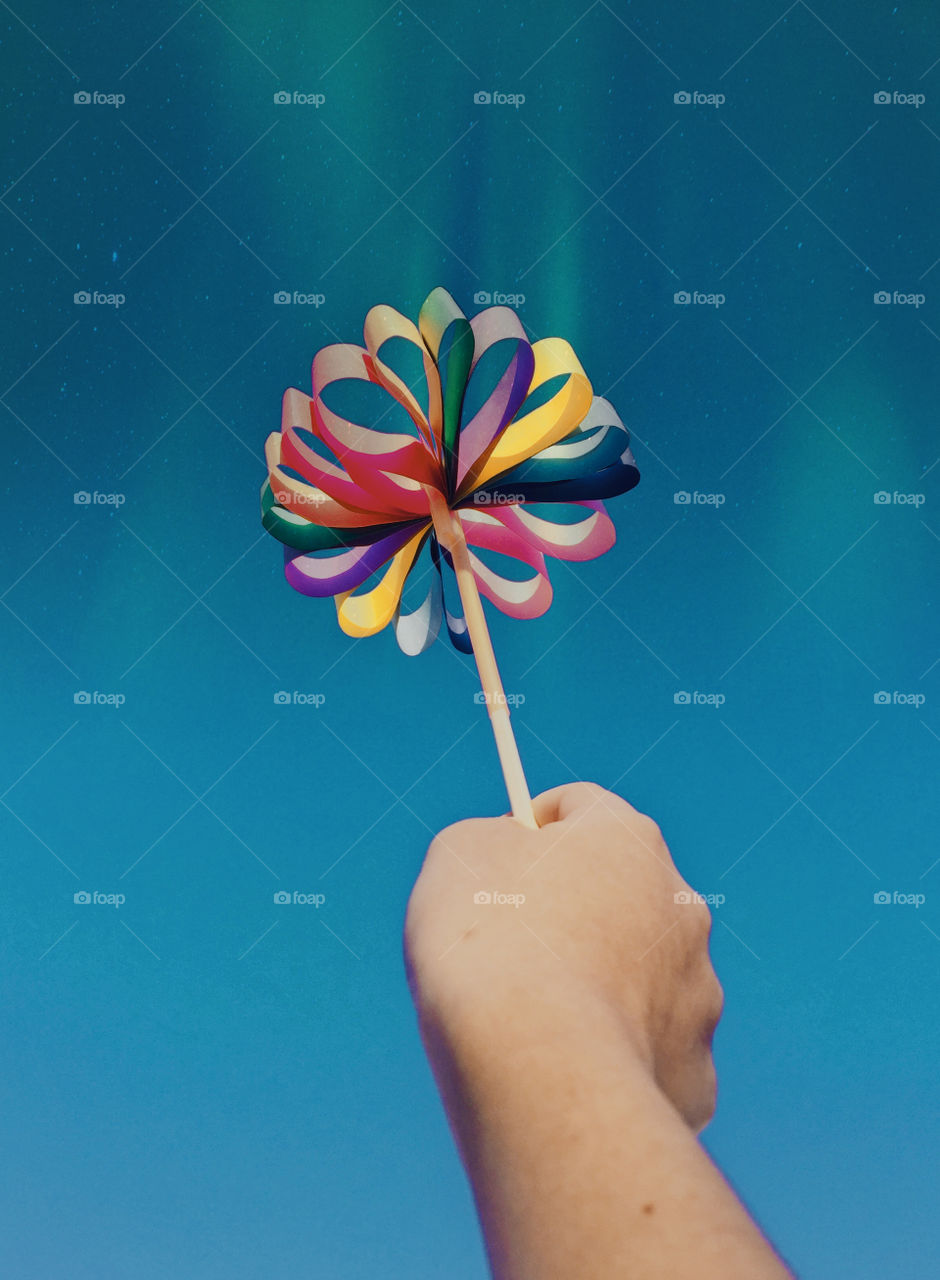 “The sight filled the northern sky;the immensity of it was scarcely conceivable.”