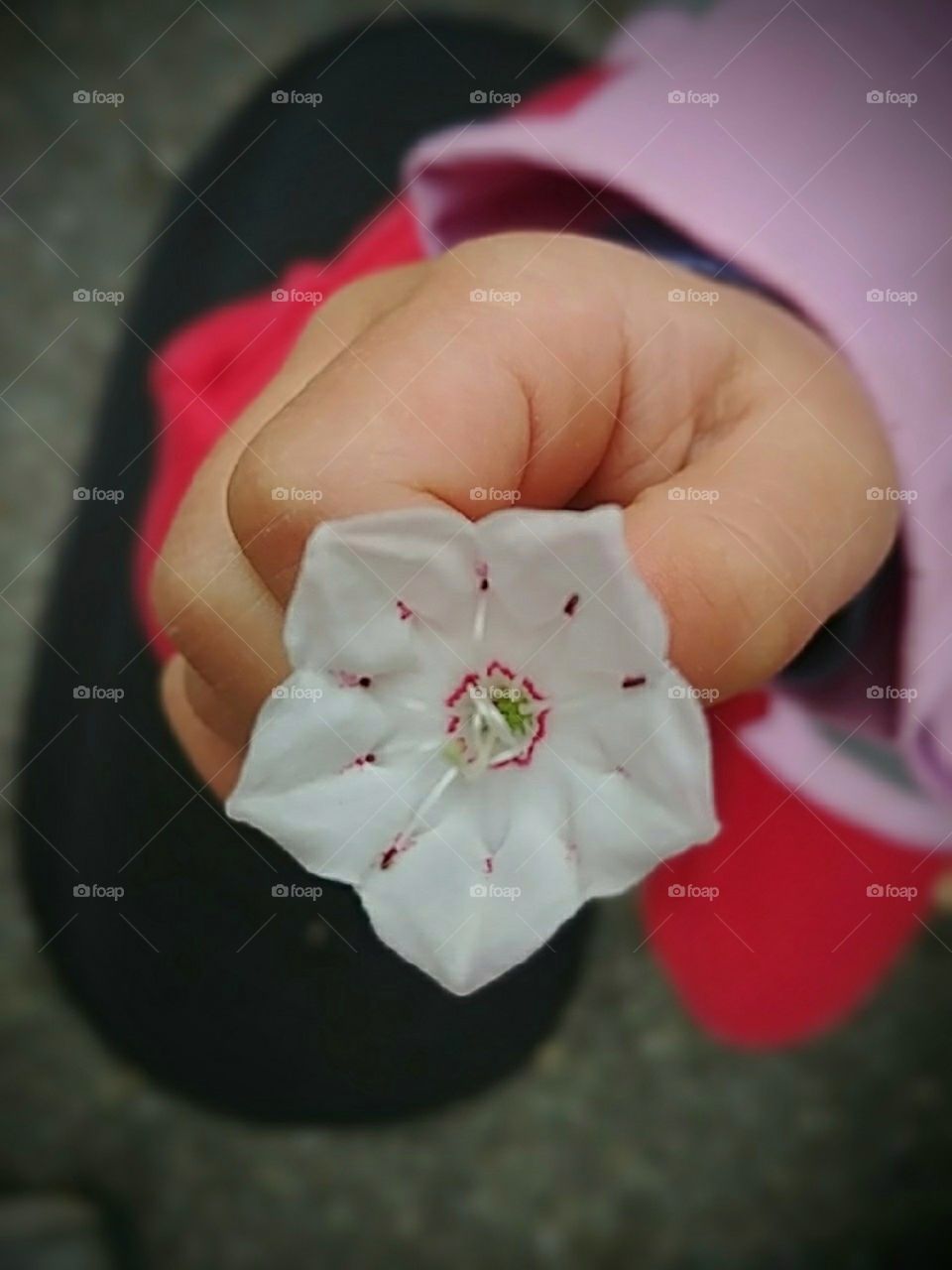 young child holding small flower