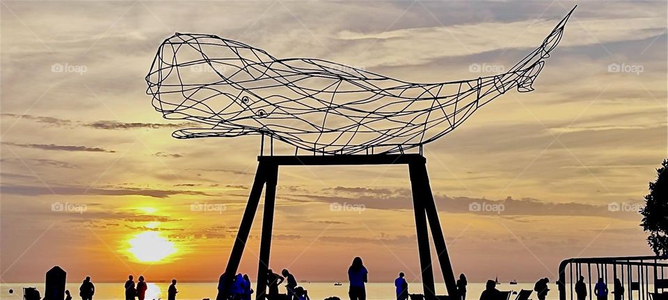 In the golden hour of sunset with unequalled intensity a gigantic fishing net is being flung high up into the air at the “Hanse Sail” weekend in “Rostock”, Germany by the “Baltic Sea” or as the locals call it the “Ostsee”. 2023. Hypnotic Productions