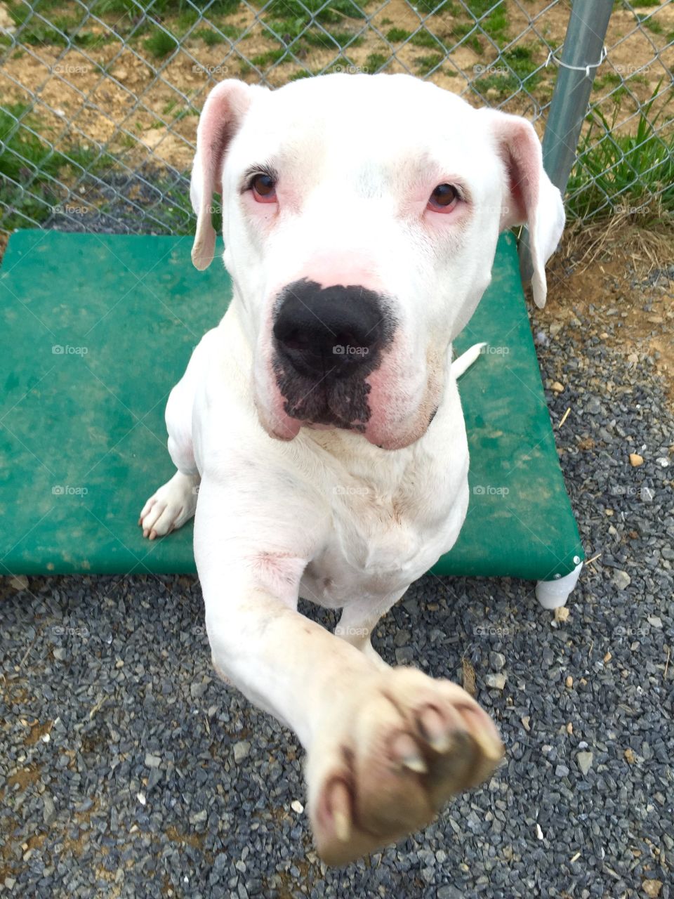 Stop... Just stop talking...