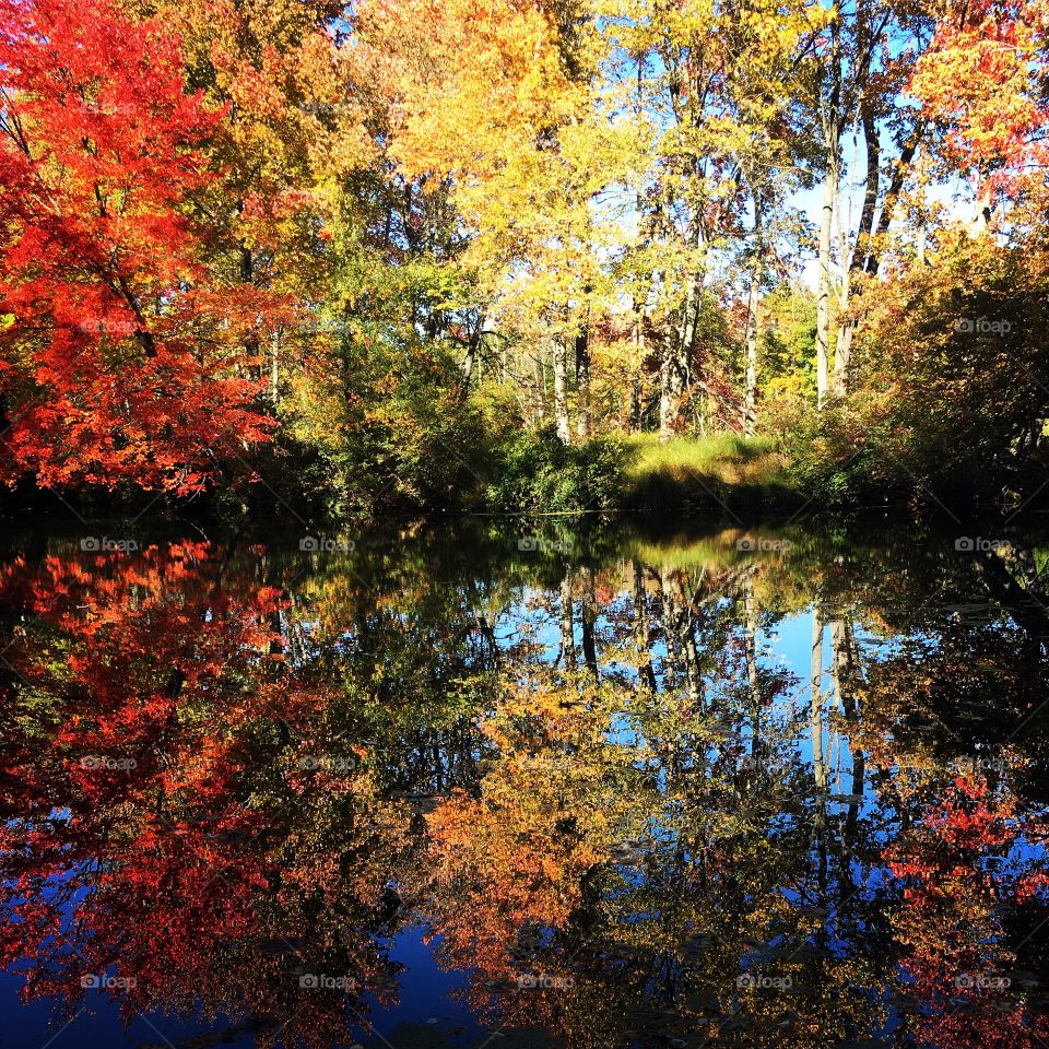 Fall water