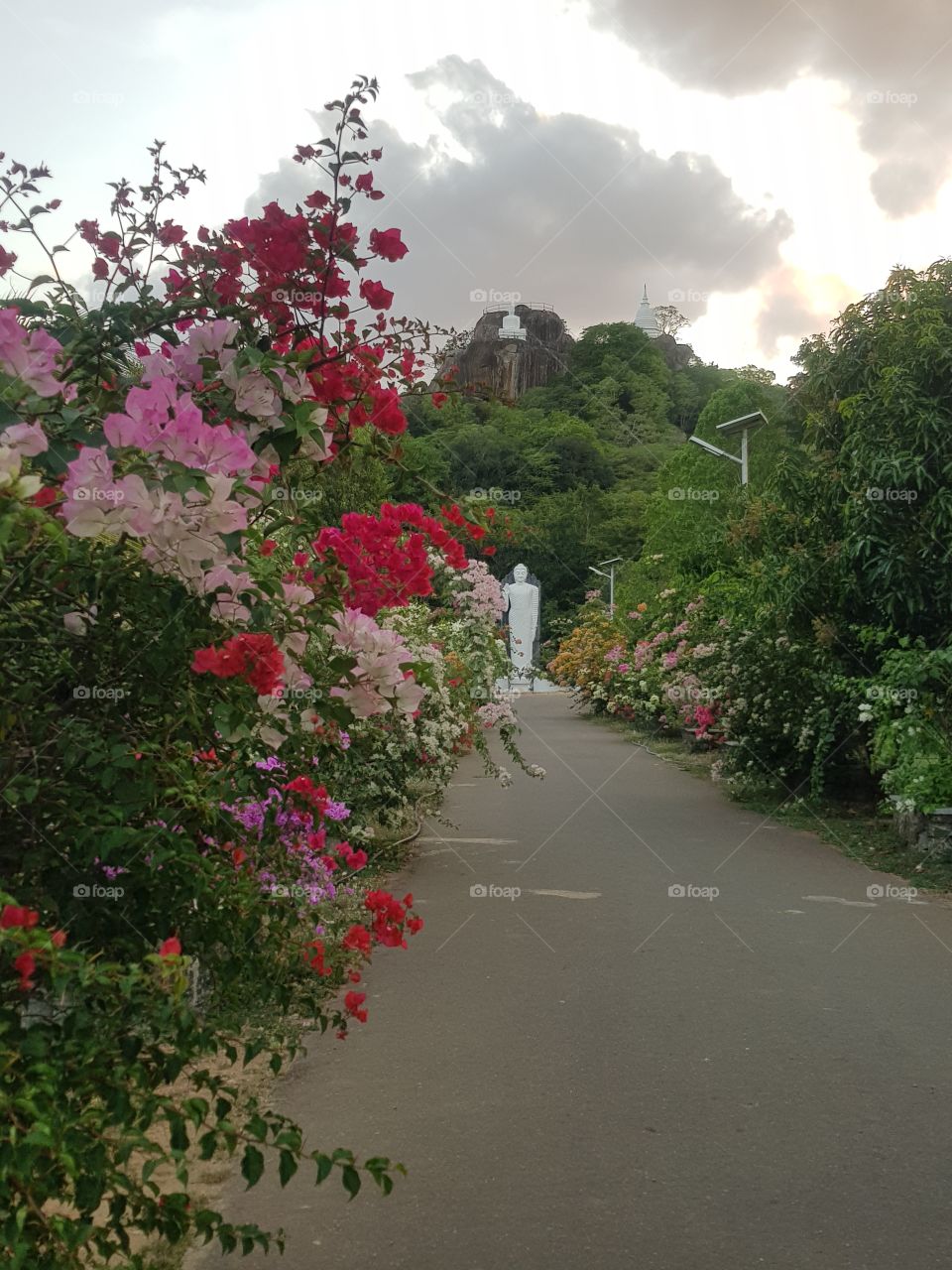 Buddhist rock temple