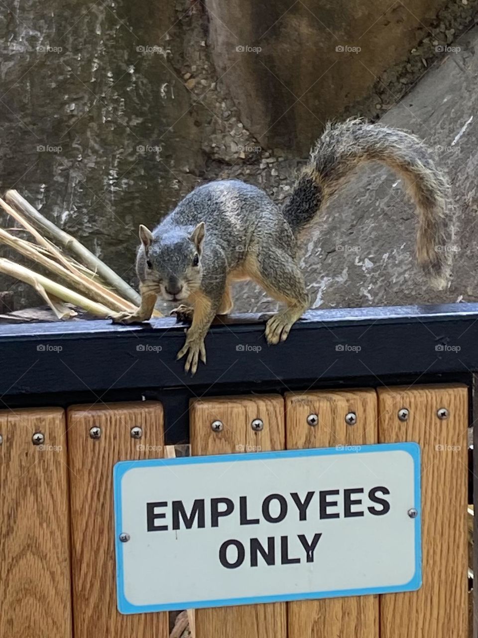 Employees only 