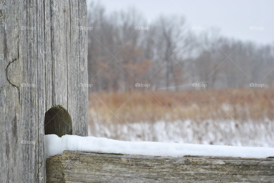 weathering away. fence on a nature preserve, late winter