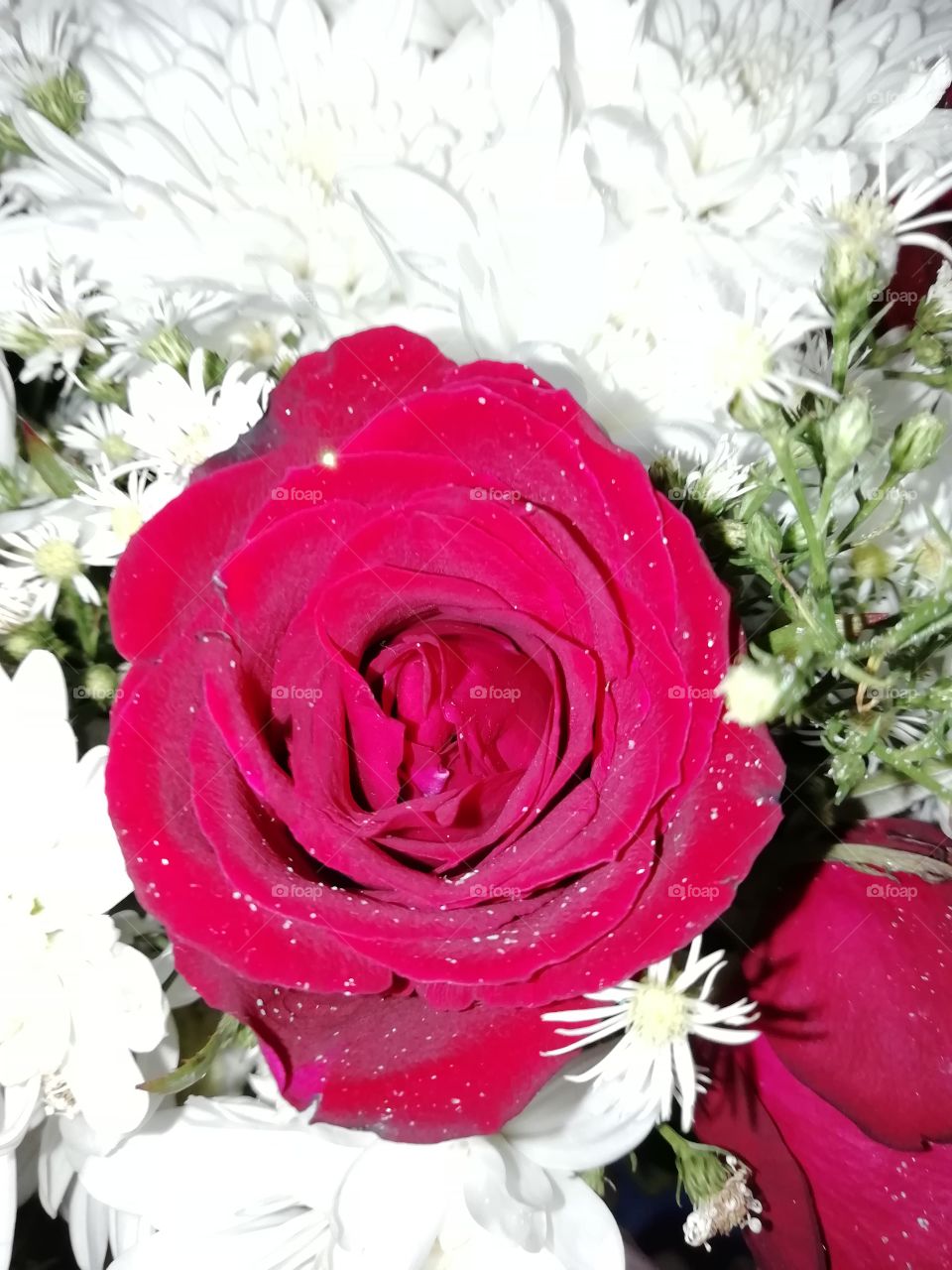 Flowers from a bouquet. Prettyness all-over