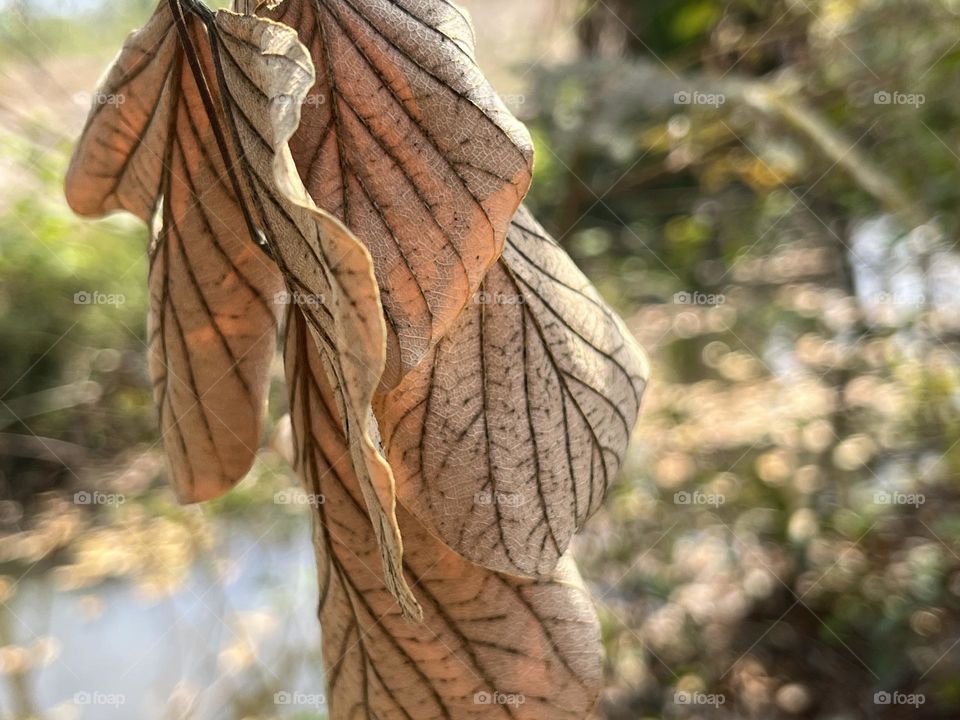 📷 Color Explosion 