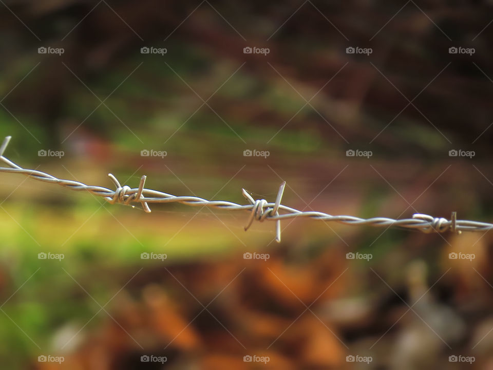 barbed wire