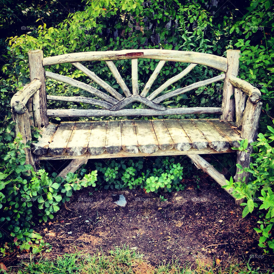 Bench in the garden.