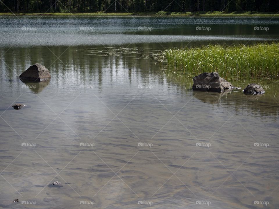 The grassy shoreline of Scott Lake in the mountain forests of Oregon on a summer day.