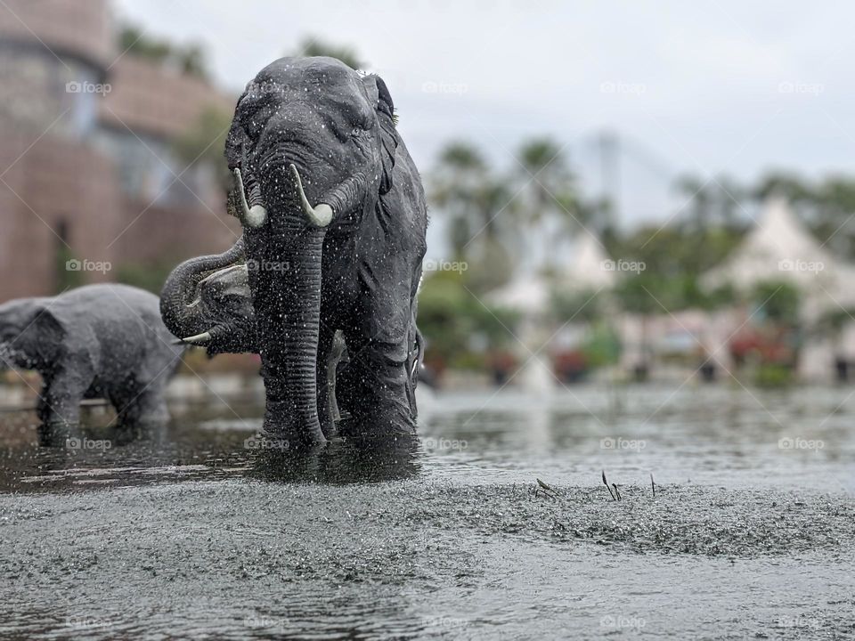 elephant statue in Labersa hotel pool