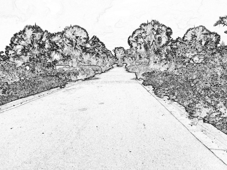 Landscape road 