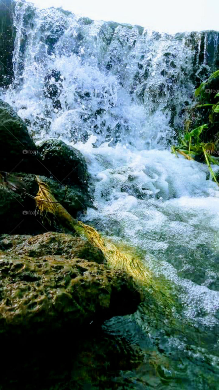 Clean fresh water stream running down.