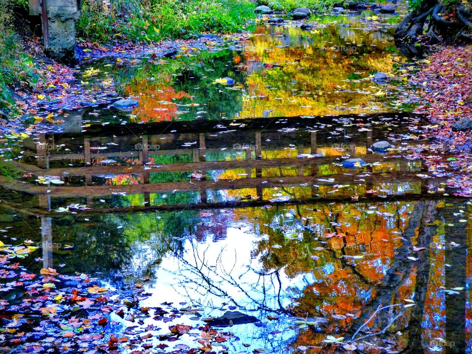 Fall reflections 