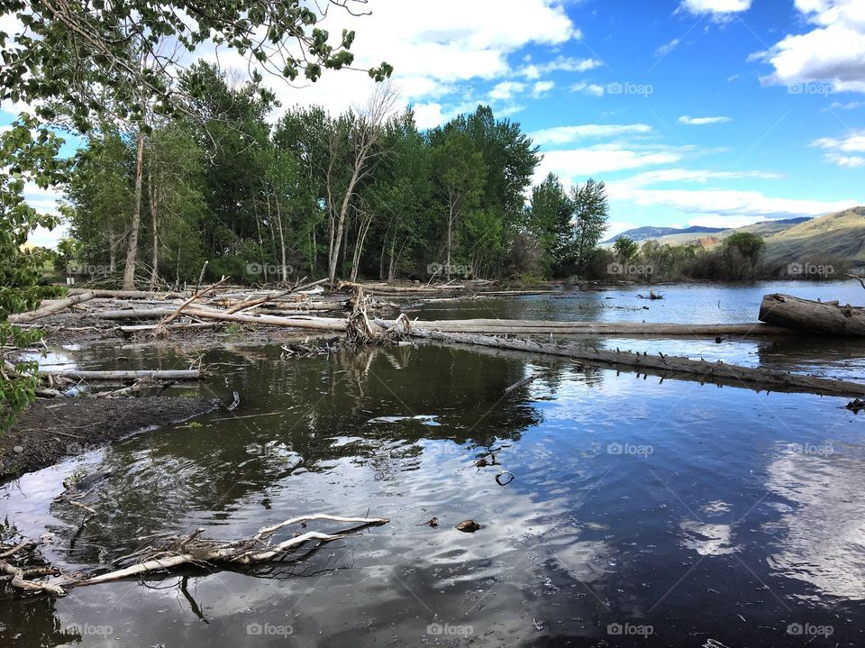 Beautiful reflection 