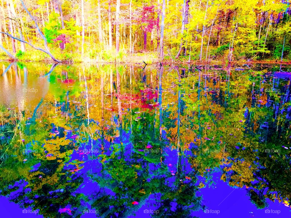 Painted lake water in the fall