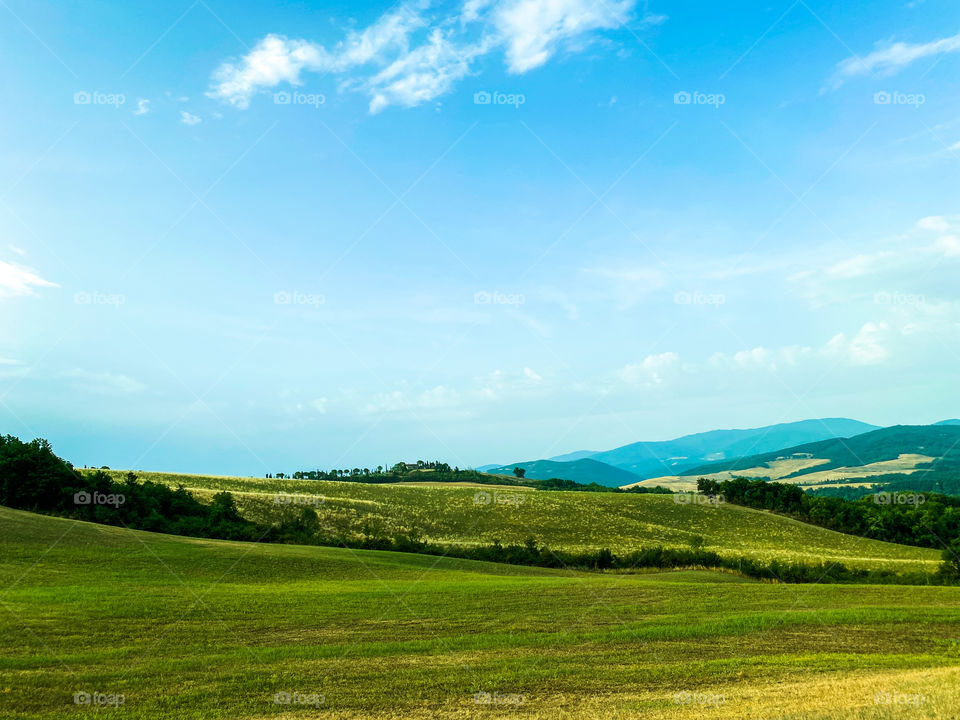 green summer landscape 