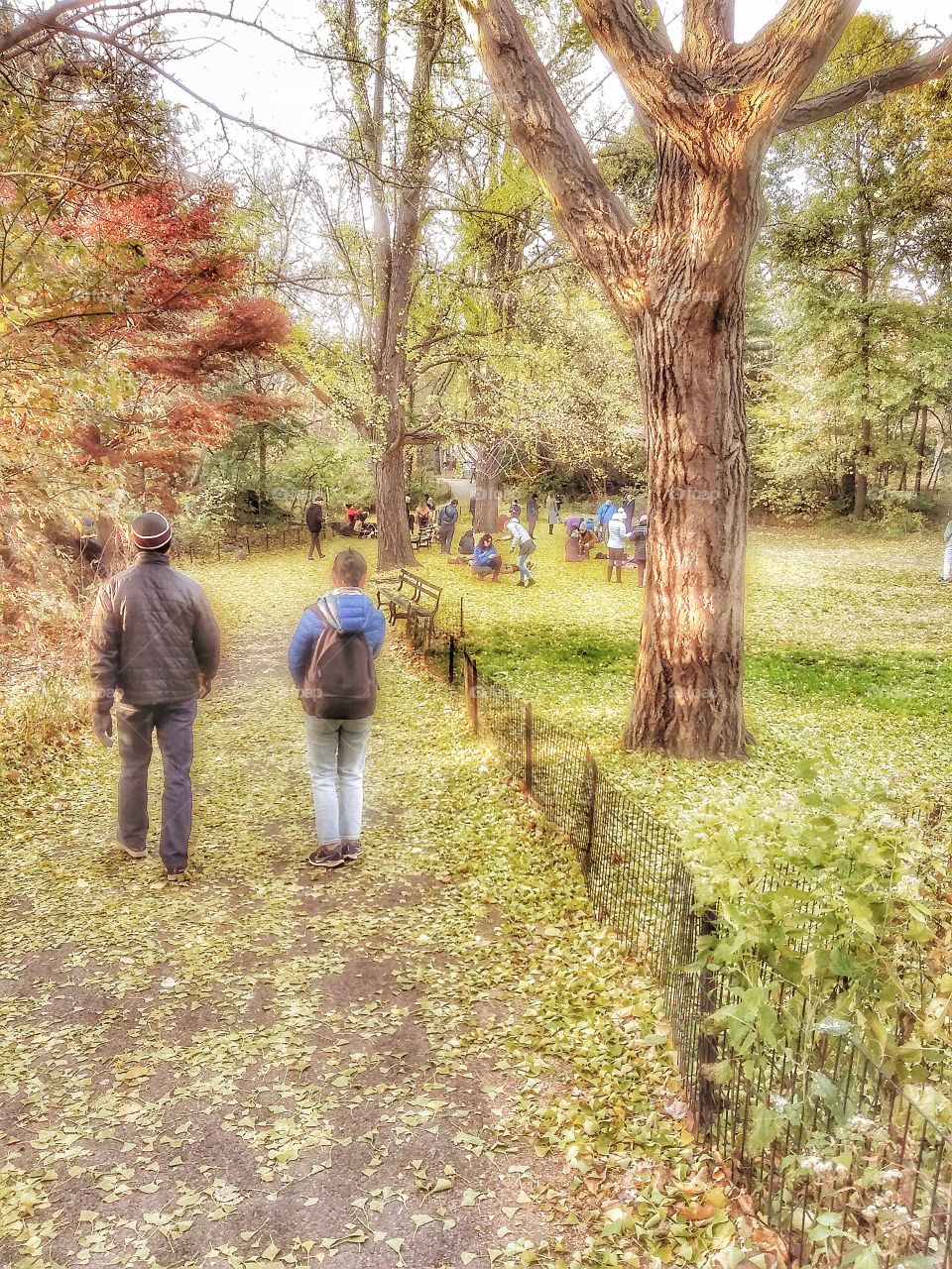 autumn walk in Central Park, New York City