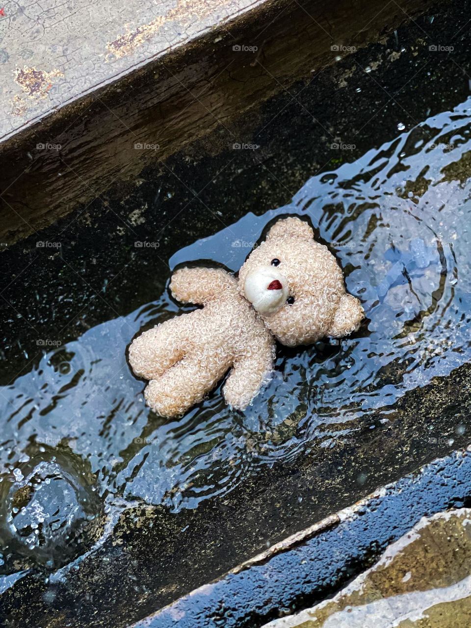 A lonely teddy bear drifted in flowing rain water in the gutter