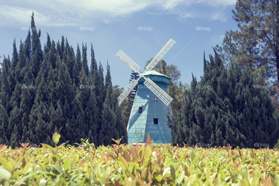 View of a windmill from the field