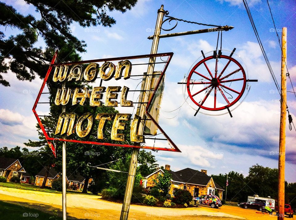 Wagon Wheel Morel
