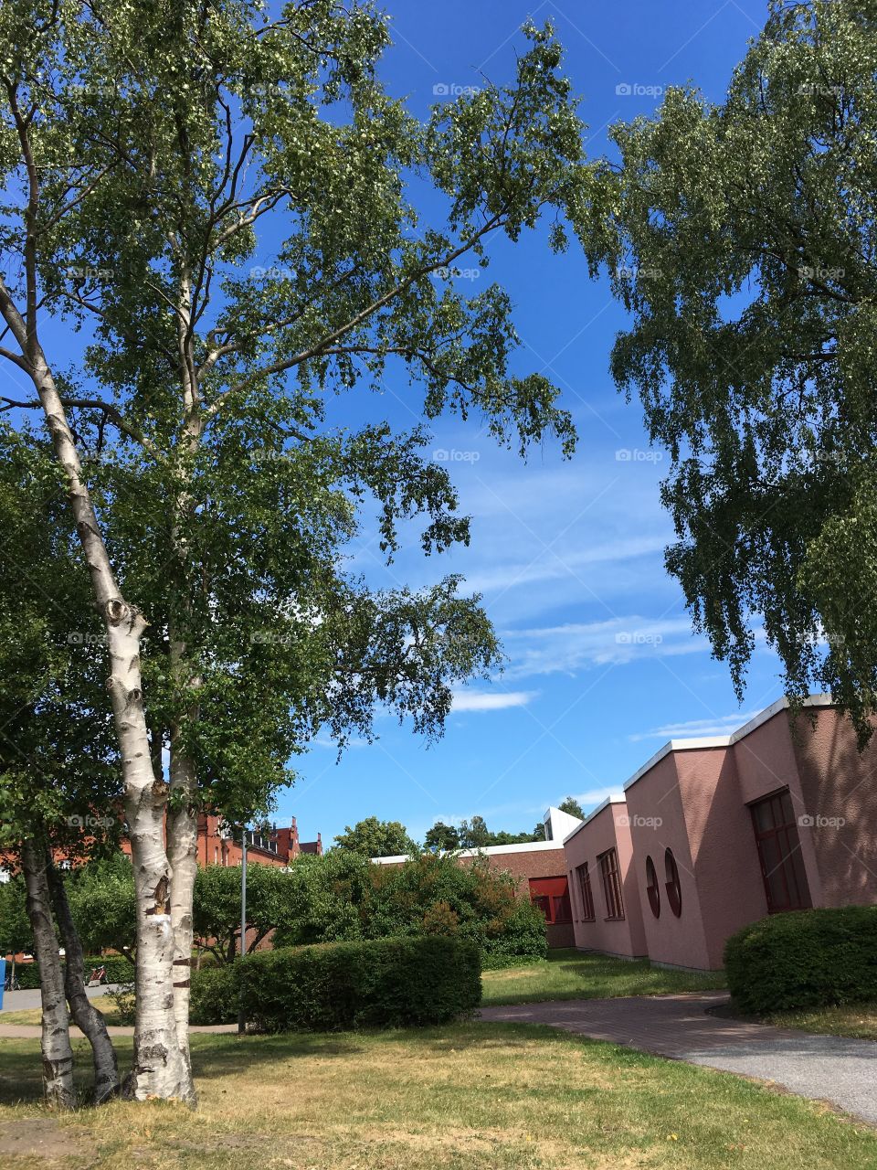 I love beautiful world ! 