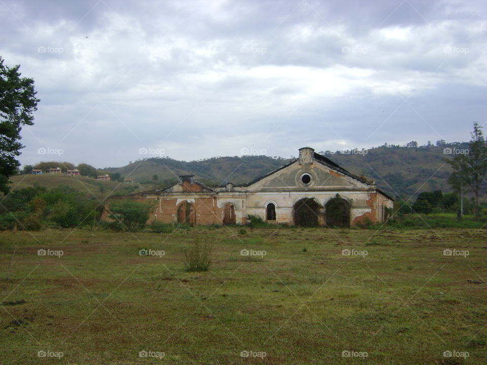 View of green landscape