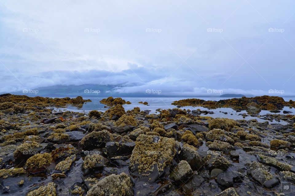 The rocky beach