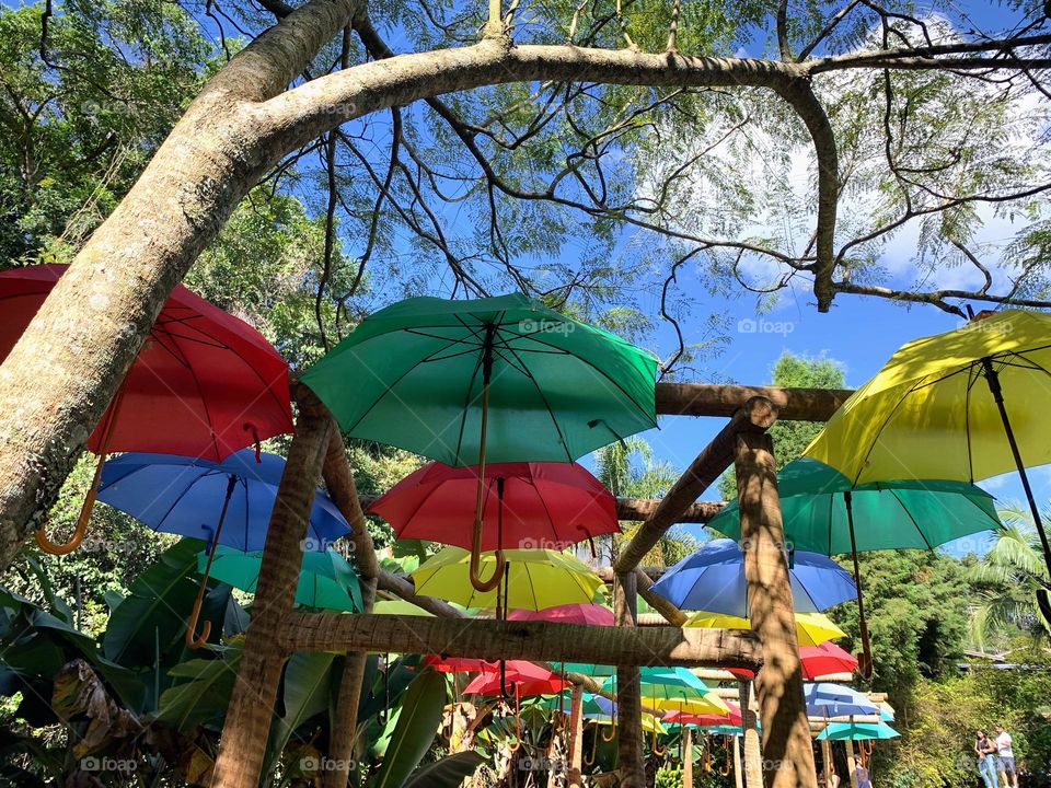 Colorful Umbrellas