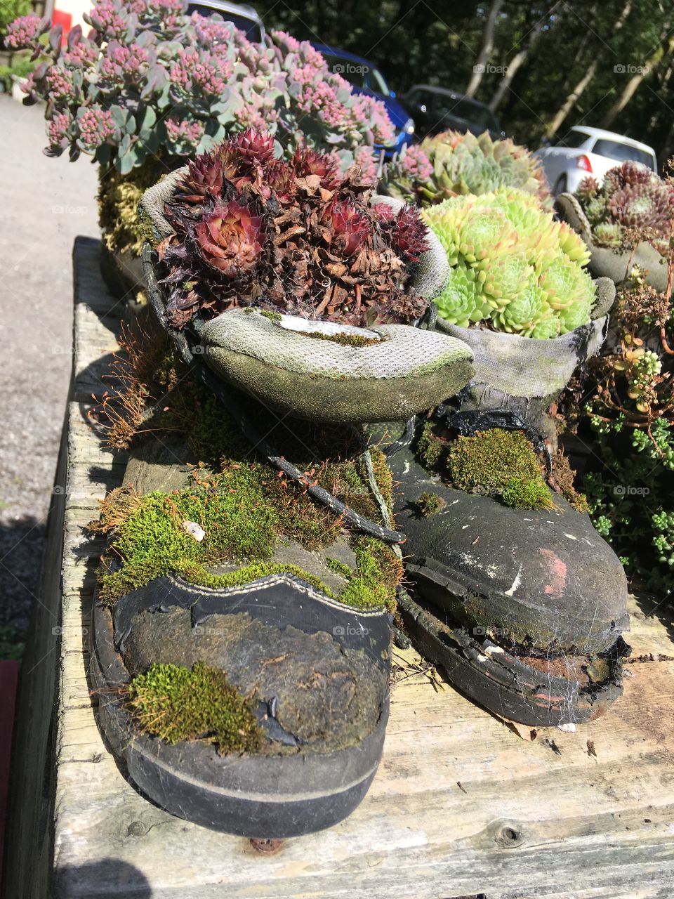 Boot pots floral 