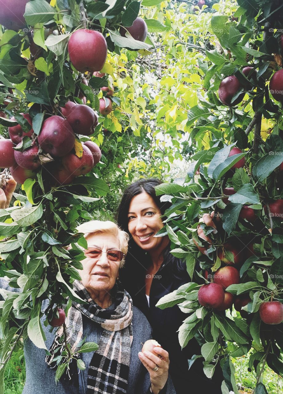 Mother & Daughter yearly traditional apple picking