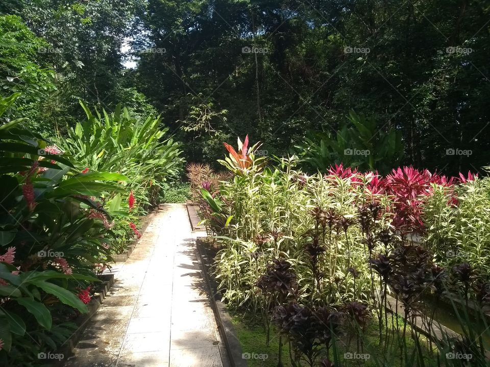 Jardim botânico