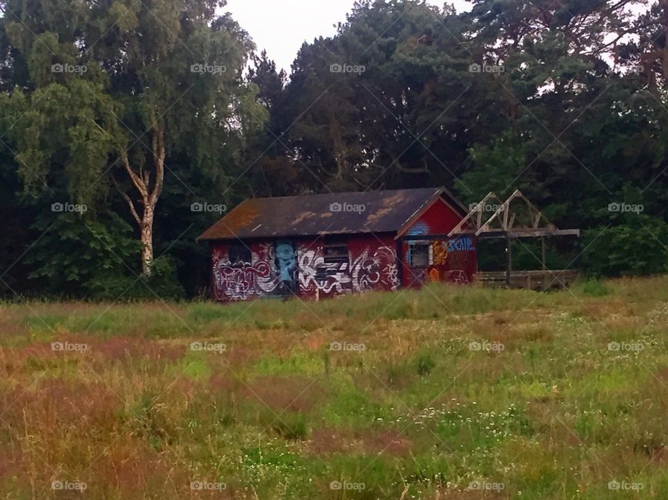 Abandoned house