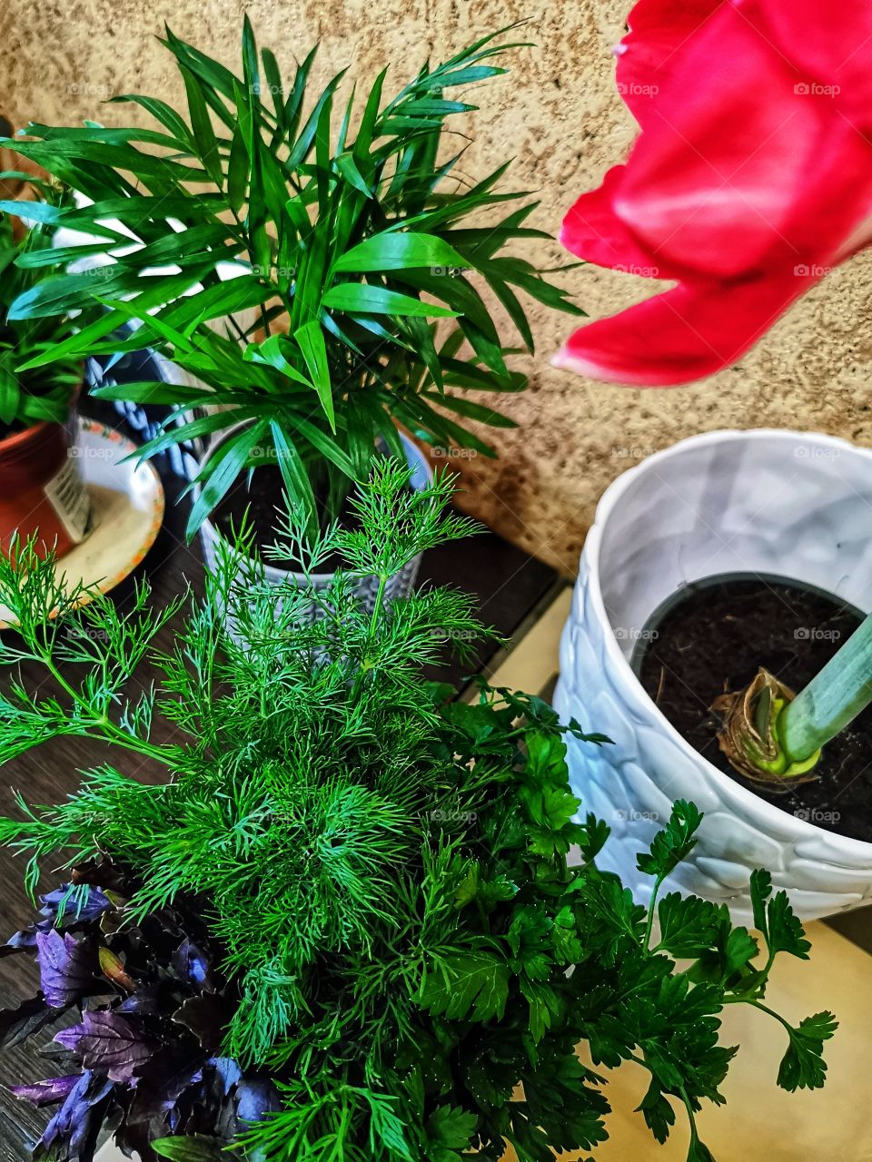 Food yummy served table day part