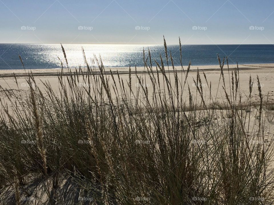 Lonely beach under winter sun