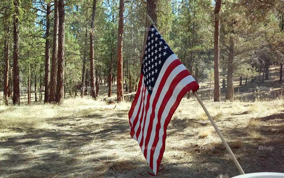 Wood, Flag, Country, Outdoors, No Person