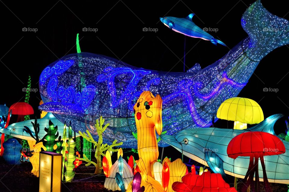 Whale - Catskill Lantern Festival 2020