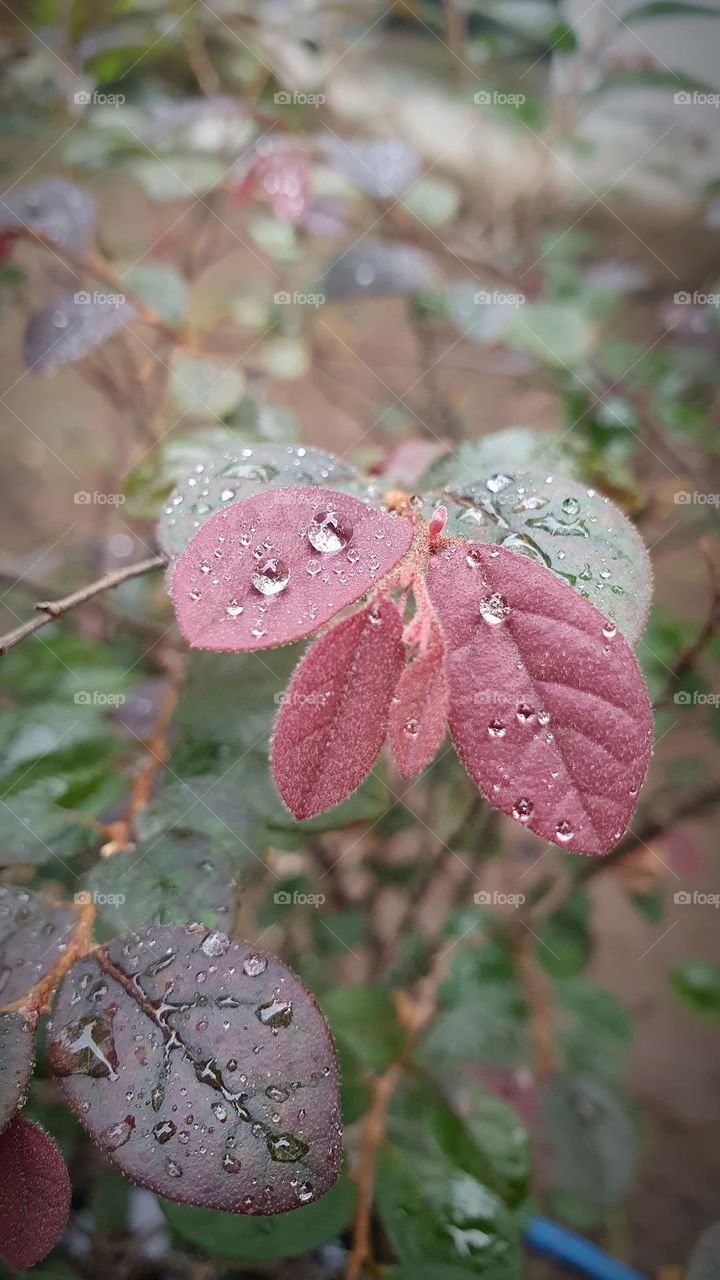 God is good for everybody. The sun shines on good people and bad people, and it rains on both, too. God doesn’t choose rain only for bad people