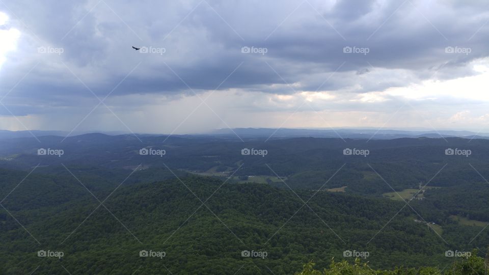 Free as a Bird. There is nothing like standing on the summit of a mountain watching birds soar through the fresh air. Jealous?
