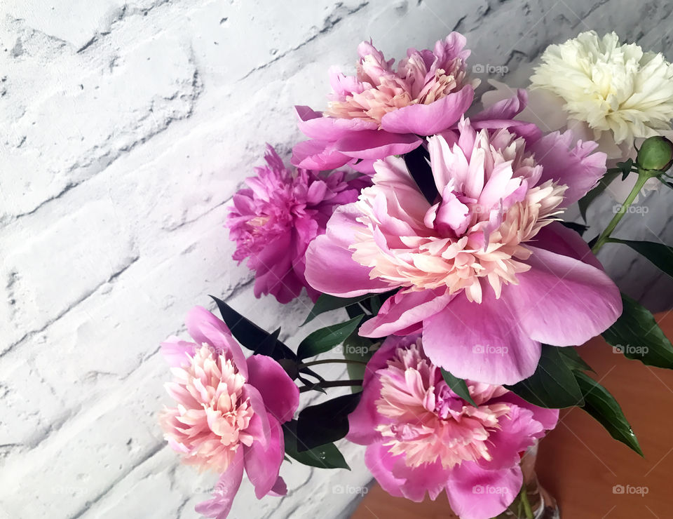 Bouquet of peonies