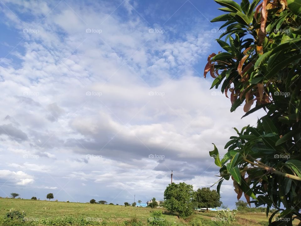 clouds💨, tree🌴 and greenery it's true nature with no filter.
