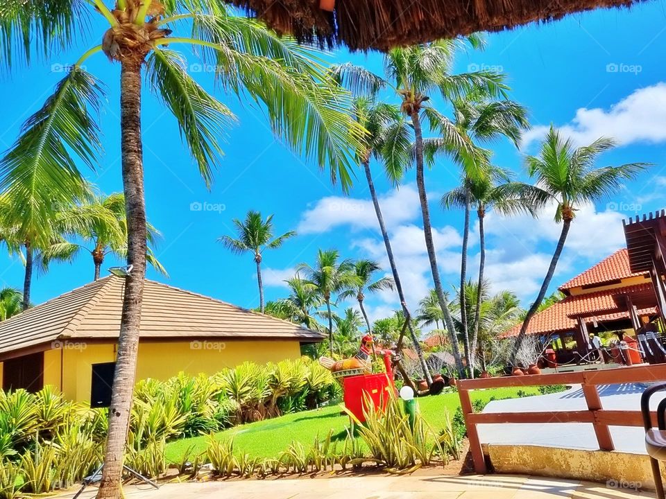 autumn majestic plant land country morning destination horizon sunny panoramic wild desert holiday lake adventure valley garden agriculture weather vacation park beauty sunlight sunrise landscape nature background sky travel blue beautiful outdoor su