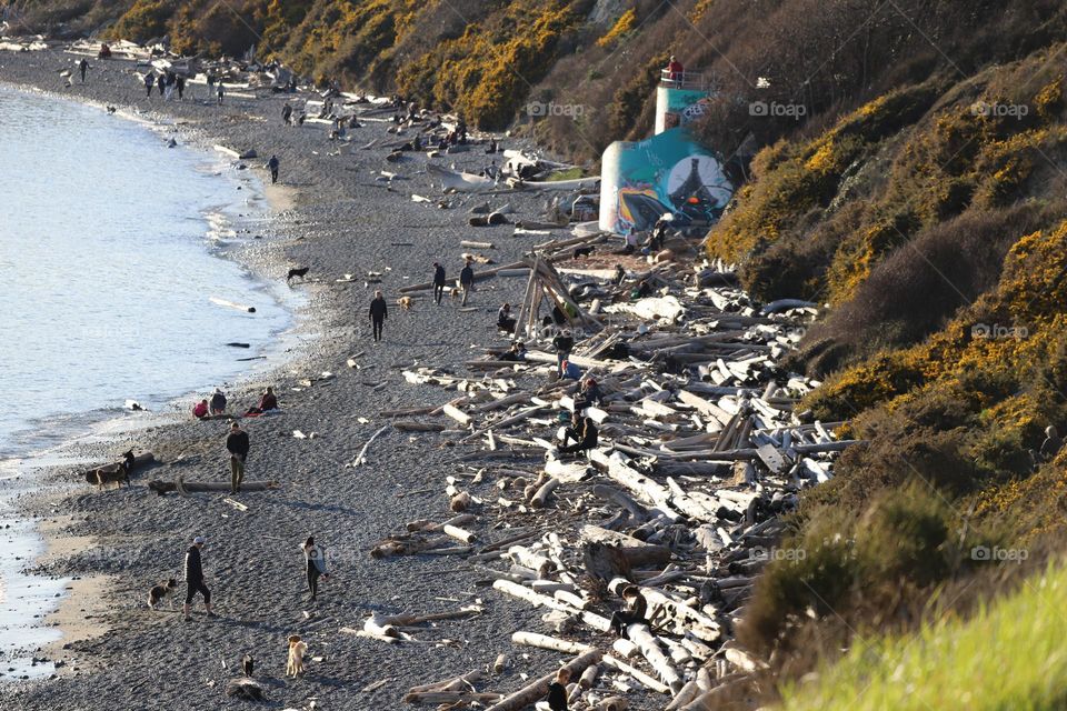 Logs and people on the beach 