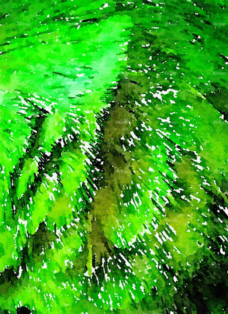 Green Feathers 